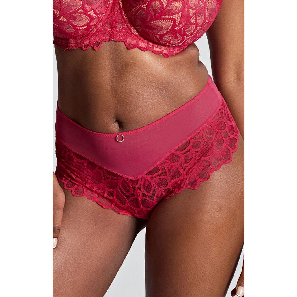 Panache Allure Deep Brief - Raspberry