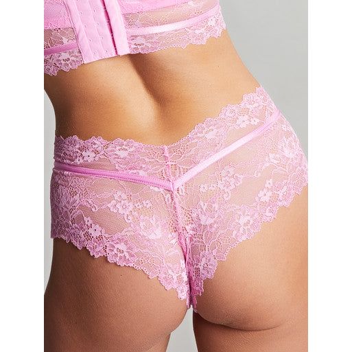 Cleo by Panache Selena Hipster Brief - Wild Rose